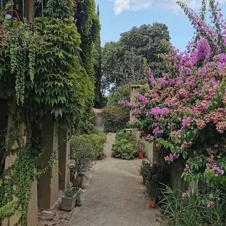 Rénové, Charme Naturel Et Authenticité Au Cœur Du Village Appartamento Sorède