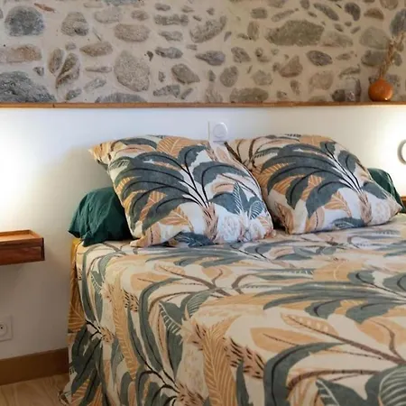 Appartamento Rénové, Charme Naturel Et Authenticité Au Cœur Du Village Sorède