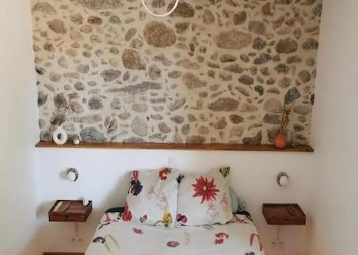 Renove, Charme Naturel Et Authenticite Au Coeur Du Village * Sorède