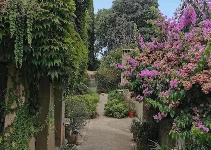 Renove, Charme Naturel Et Authenticite Au Coeur Du Village Daire Sorède