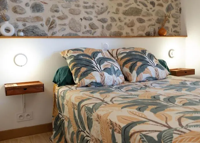 Daire Renove, Charme Naturel Et Authenticite Au Coeur Du Village Sorède