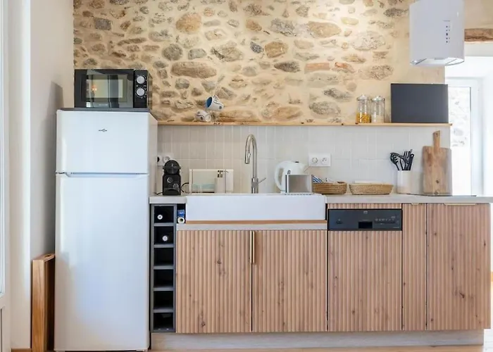 Daire Renove, Charme Naturel Et Authenticite Au Coeur Du Village Sorède